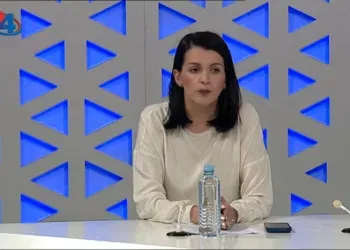 Костадиновска-Стојчевска/Фото: ТВ24