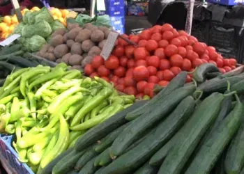 Фото: МИА архива