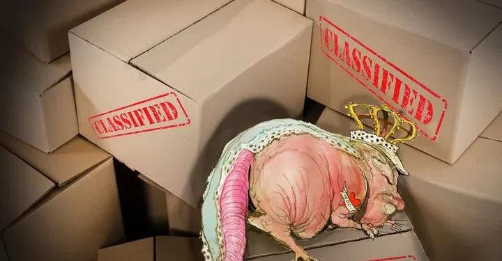 David Rowe