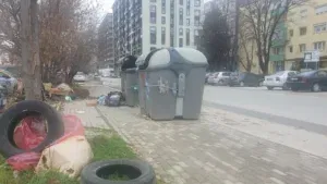 дива депонија