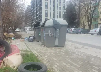 дива депонија