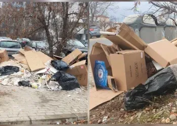 Дива депонија. Фото: Фронтлајн