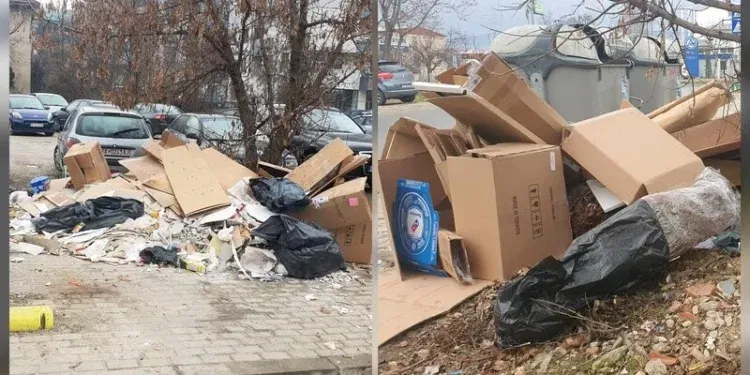 Дива депонија. Фото: Фронтлајн