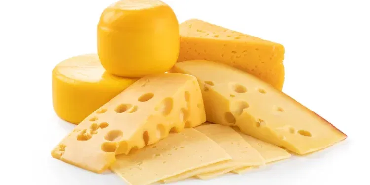 Timmary/Shutterstock