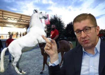 Фотомонтажа: РИБАРО